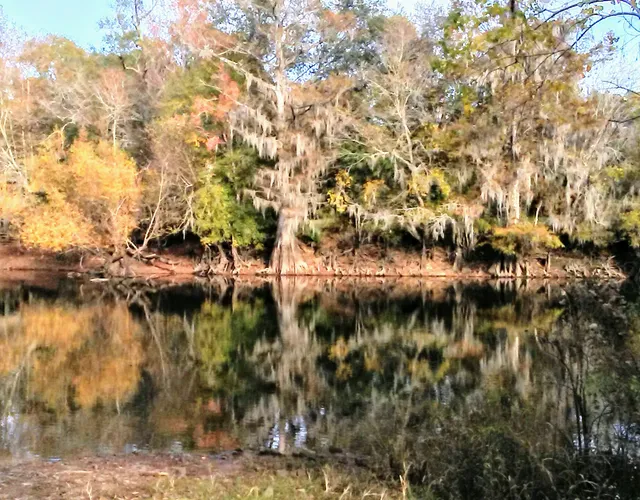 Ogeechee River Camping Club