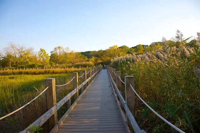 Alley Pond Environmental Center