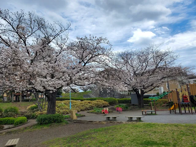 Minamitsukushinoyanagi Park