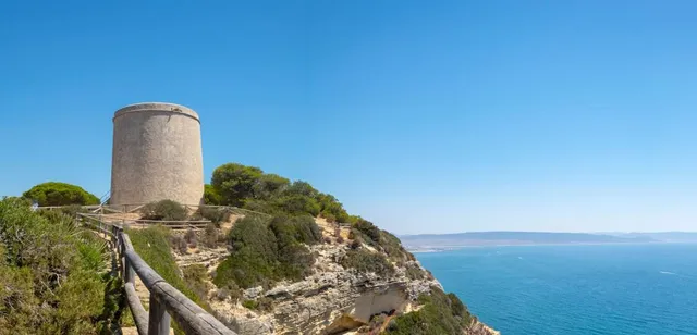 Barbate Pinar de la Brena