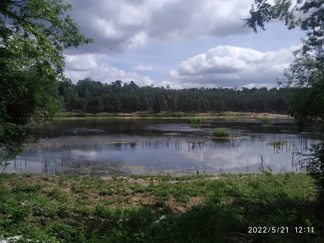 Gehspitzweiher bei Neu-Isenburg