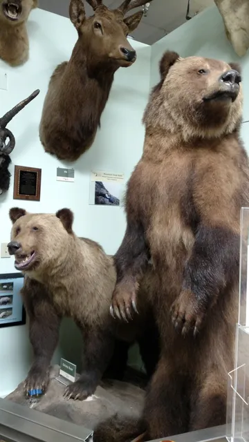 El Campo Museum of Natural History