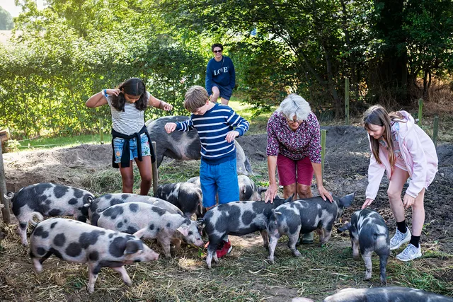 Husmandsstedet Fredensdal