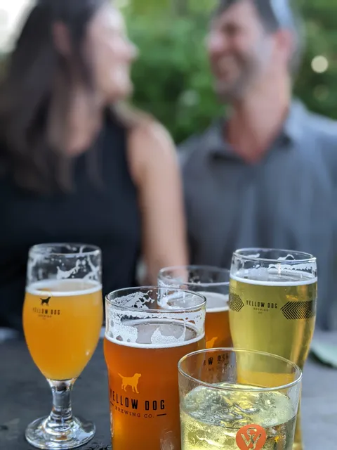 Yellow Dog Brewing Co.