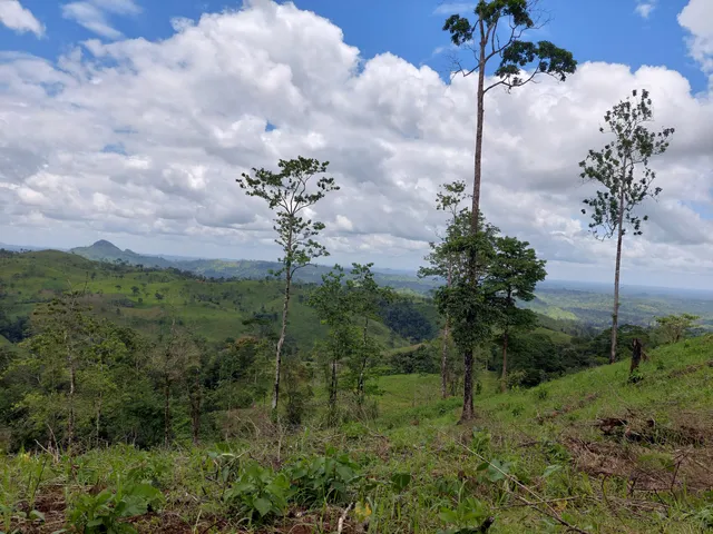 Reserva Natural Cerro Silva