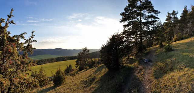 Mehlbaum Nature Reserve
