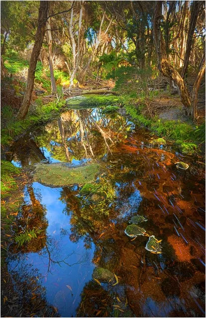 Mill Creek Regional Park