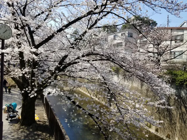 Otonashi Kunugi Green Space