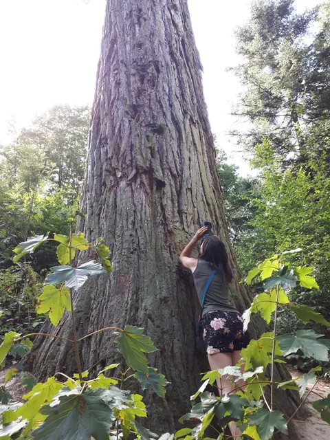 L'arboretum de la Hutte