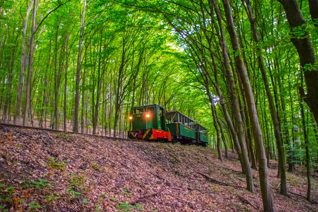 Nagybörzsöny Forest Railway