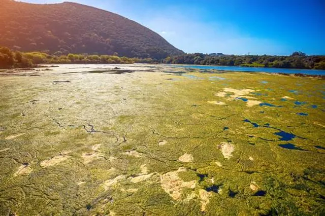 Kowawese Unique Area