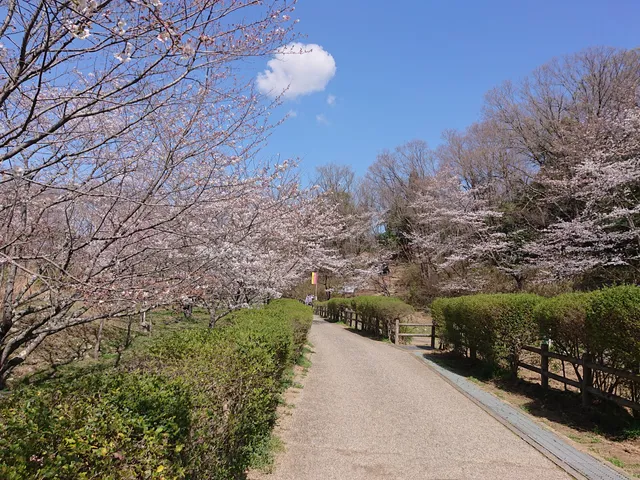 Chikatsu Asuka Fudoki-No-Oka Historical Park