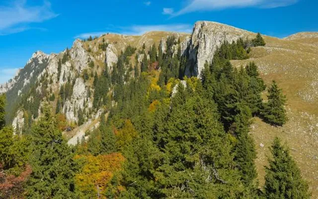 Buila Vânturarița National Park