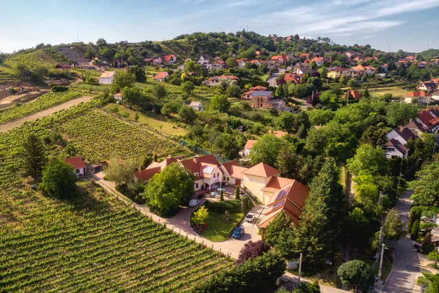 Vida Családi Borbirtok