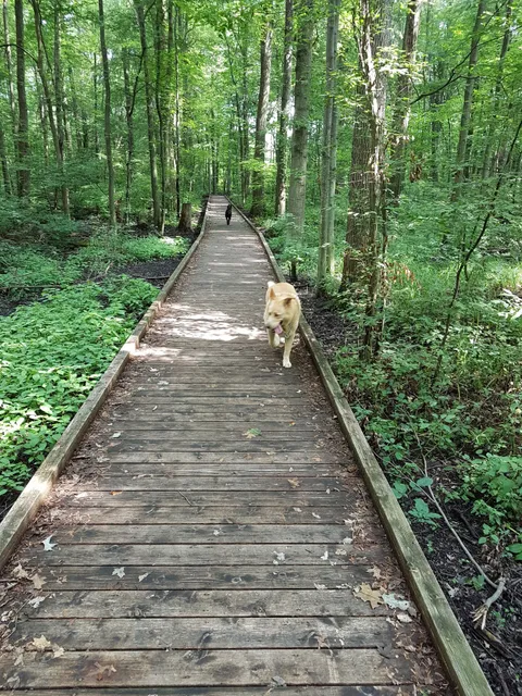 Kopegaron Woods Conservation Area