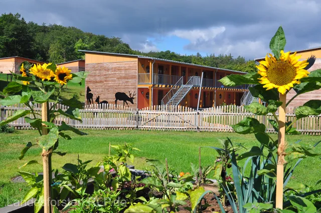 Walderlebniszentrum Soonwald - WEZ