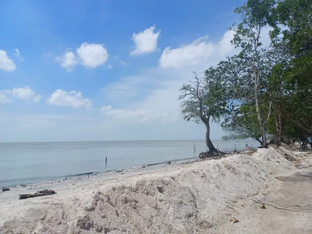 Parit Penyengat Beach