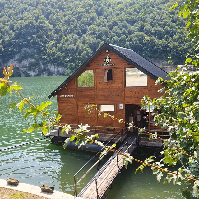 Kucica na vodi Drinski Snovi