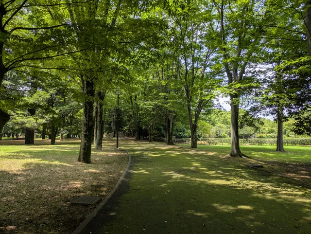 Fuchu Forest Park/Musashino Forest