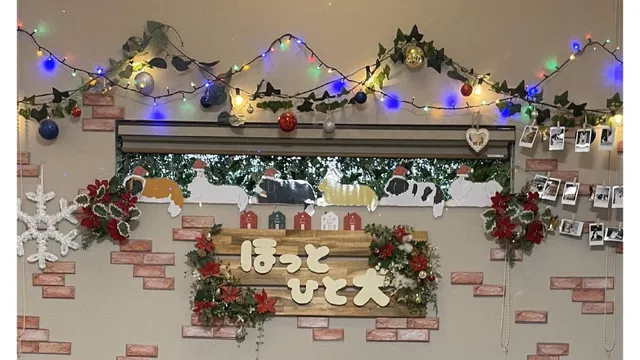 HOTTOONEONE Large Dog cafe