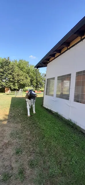 La Ca' Bianca di Alessia - Ristorante