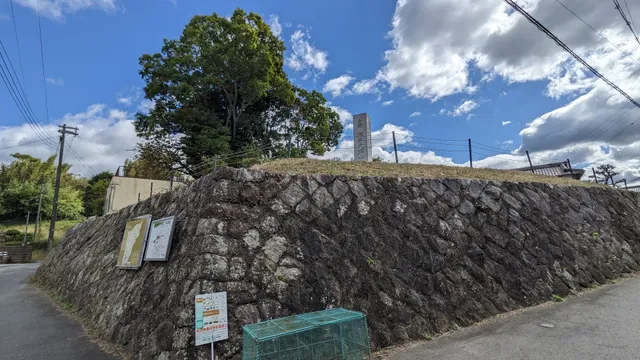 photo-1
