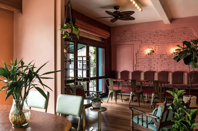 Negrita Café Bar - Botanique Oásis