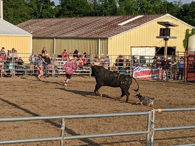 Fox Hollow Rodeo