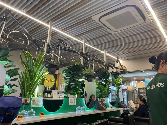 Two Herbs Herbal Hair Treatment Ang Mo Kio - Hair Loss