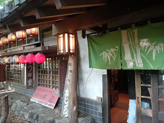 Aji Kura Mingei Jaya