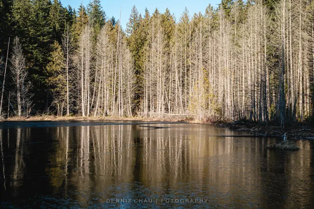 Whyte Lake Park | West Vancouver