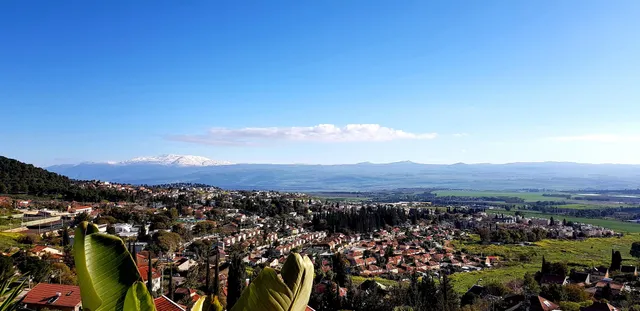 אדוה - גבוה מעל כולם Adva High Above All