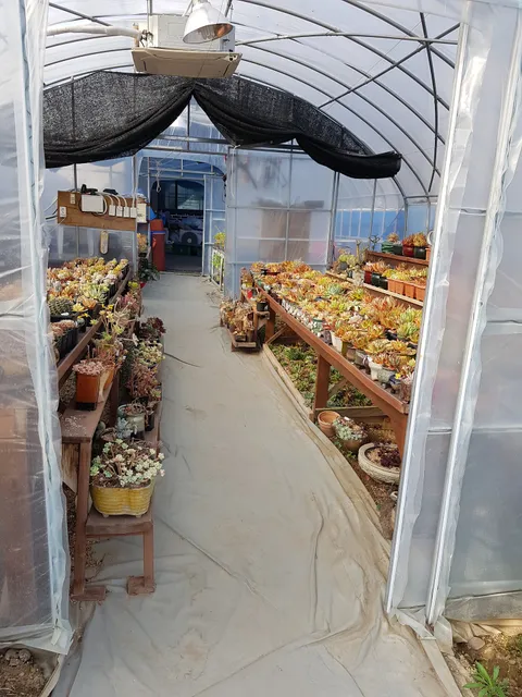 행운가든 오리백숙