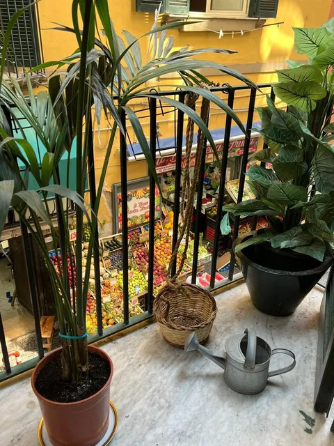 Casa Tiare Maison d'art