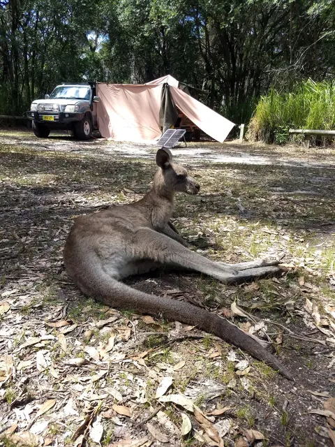 Honeymoon Bay - Beecroft Weapons Range