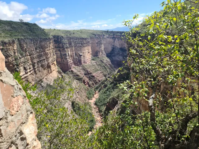 Cañon de Toro Toro