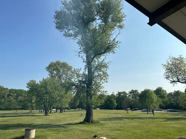 Robinson Woods-South