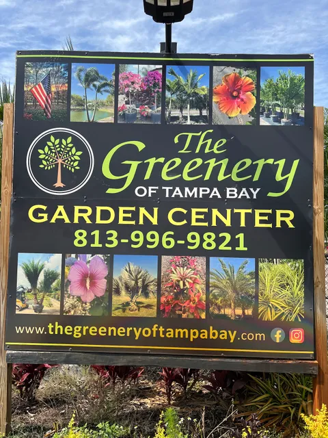 The Greenery of Tampabay