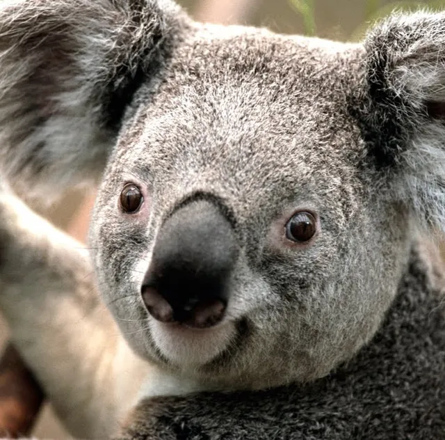 Englewood Jewelry & Gold