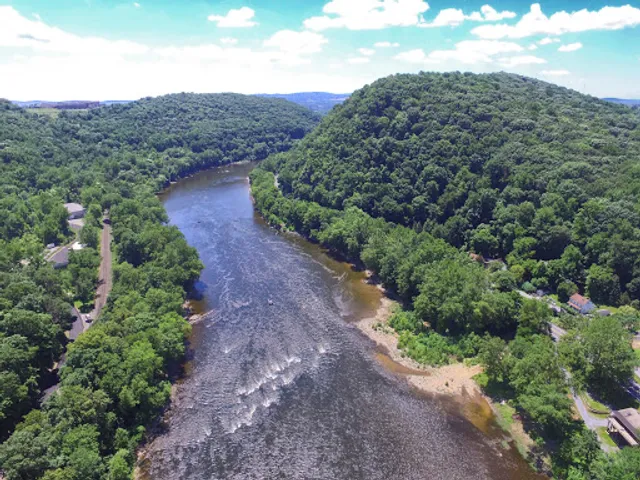 Frost Hollow Overlook