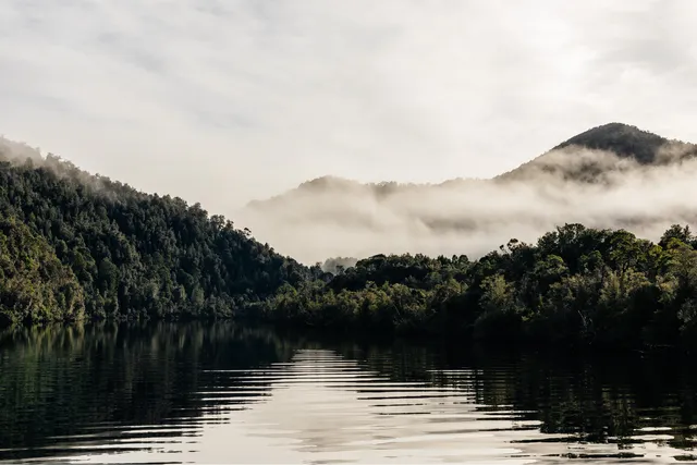 Gordon River Cruises
