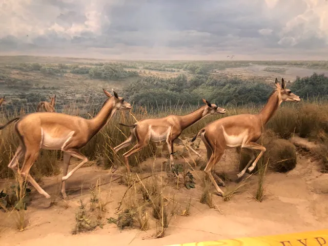 Denver Museum of Nature and Science Parking