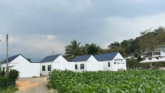 นาต้นบัวโฮมสเตย์