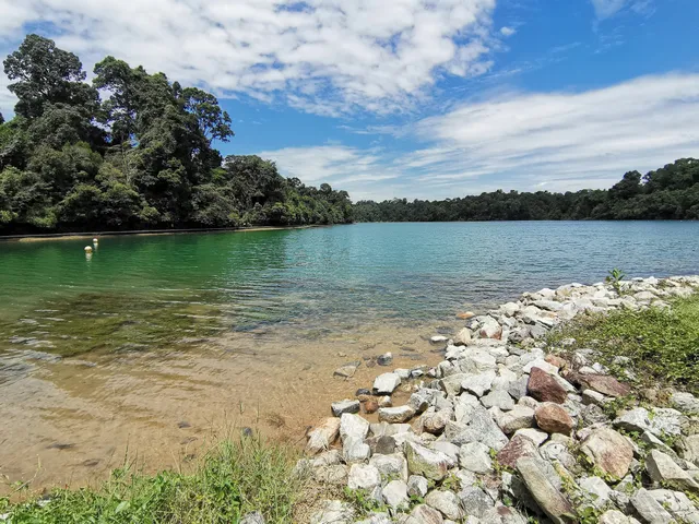 MacRitchie Reservoir Park Car Park