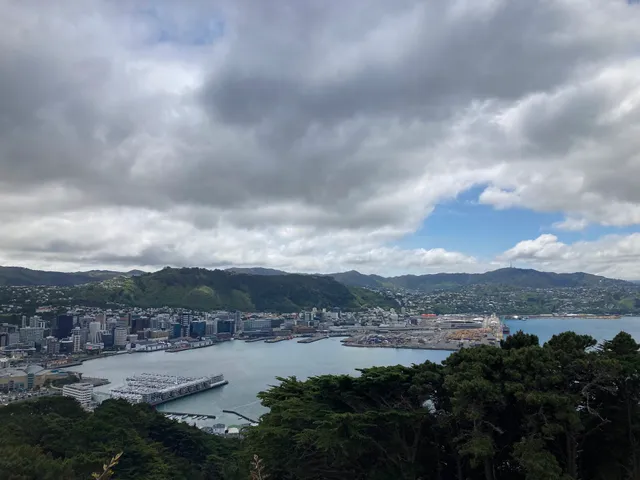 Mt Victoria Reserve Walking Paths