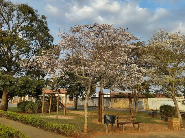 Praça do Carroção