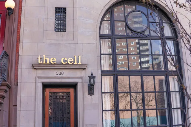 Nancy Manocherian's the cell theatre