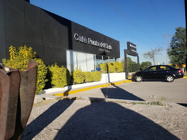 Café Punta Del Cielo Tula