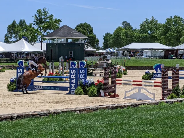 Loudoun Benefit Horse Show