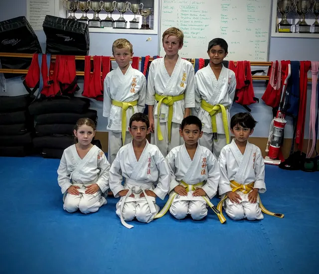 Fushin Ryu Karate Dojo Brown's Bay